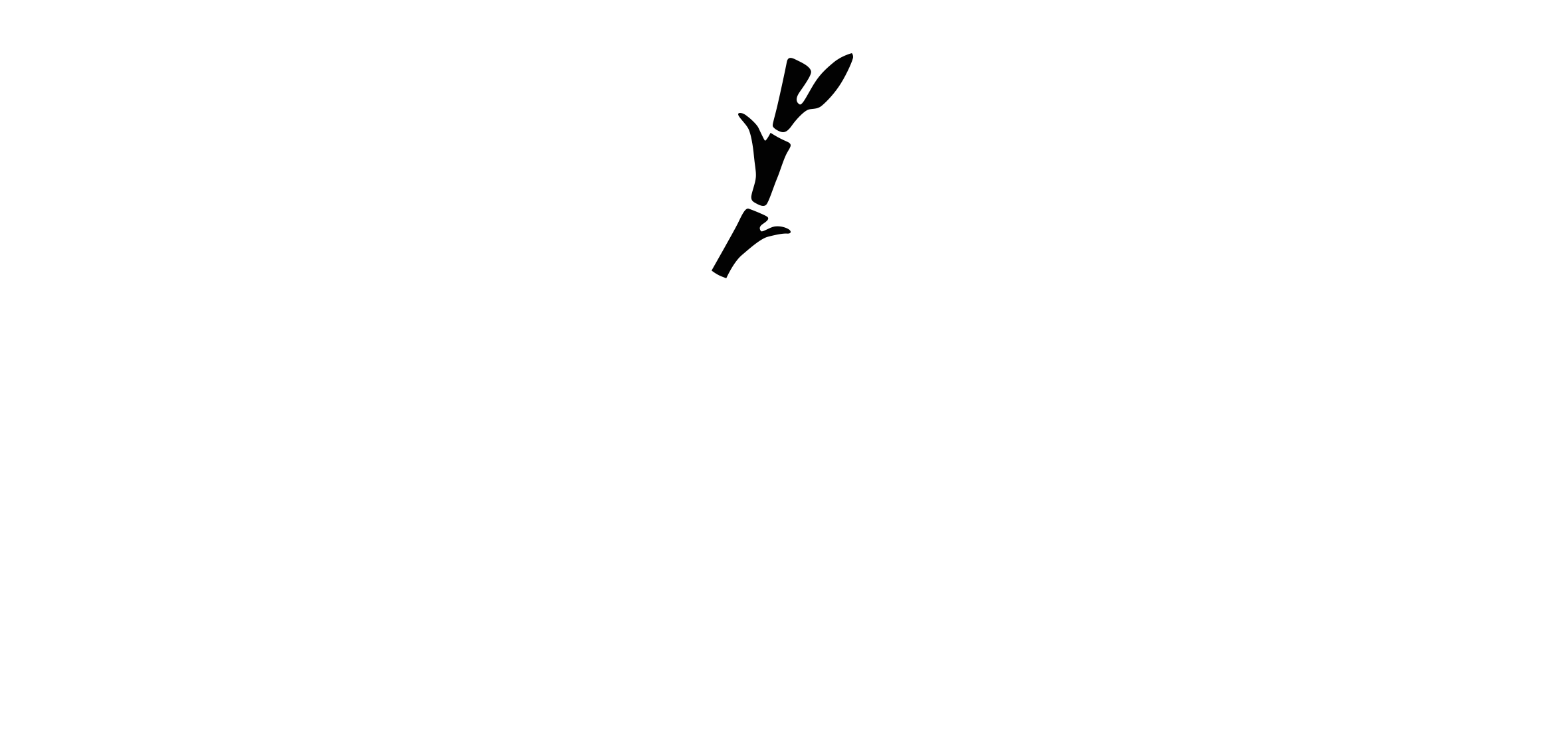 BollywoodScalp Logo